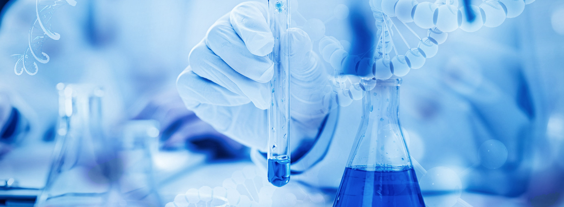 專注功能紡織化學品研發(fā)